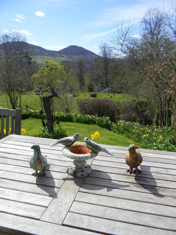 ホテル Fauhope Country House メルローズ エクステリア 写真